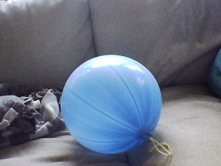 PICA0004