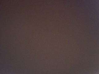 PICA0008 2