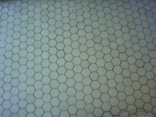 PICA0038 2