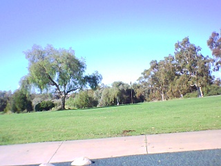 PICA0130 2