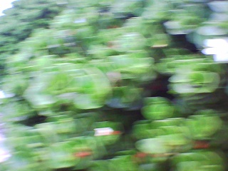 PICA0140