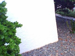 PICA0152