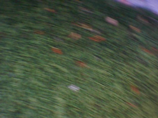 PICA0155