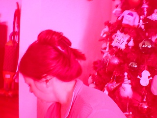 PICA0193 2