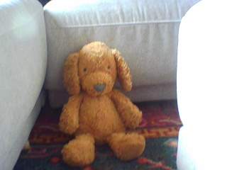 PICA0224 2
