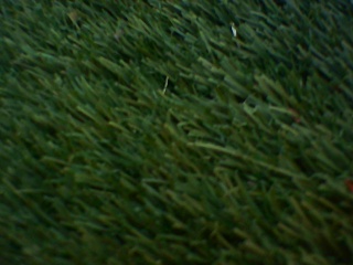 PICA0226