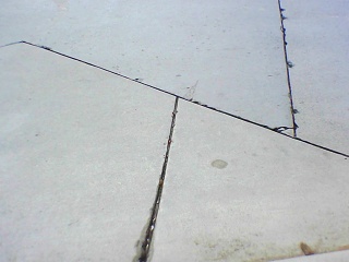 PICA0250 2