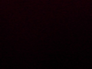 PICA0276