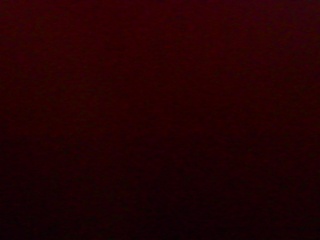 PICA0277