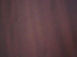 PICA0286