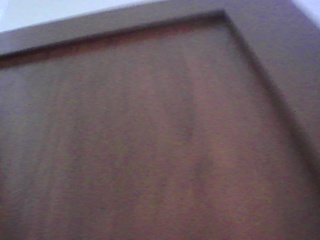 PICA0287
