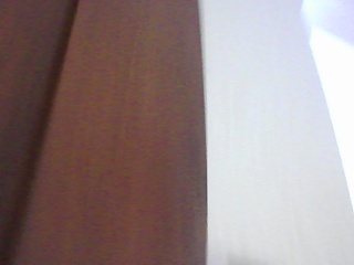 PICA0288
