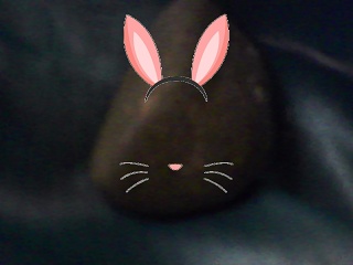 PICA0290