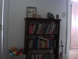 PICA0291