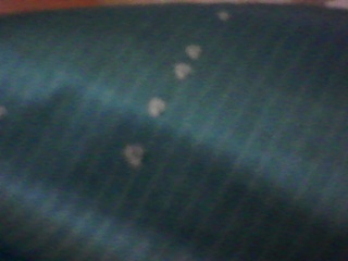 PICA0292