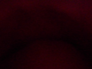 PICA0321