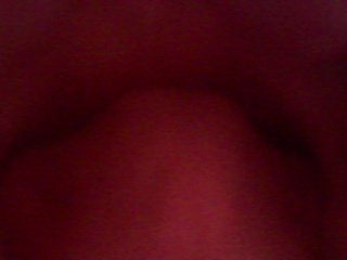 PICA0322