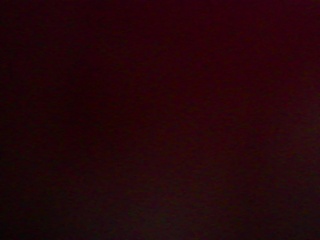 PICA0342
