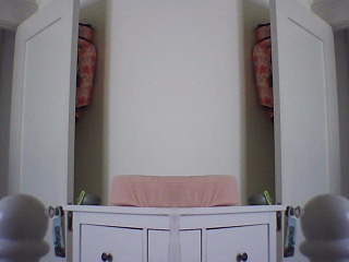PICA0354