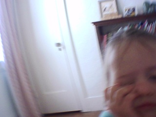 PICA0360