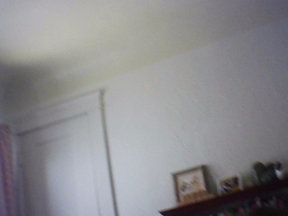 PICA0367
