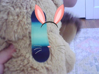PICA0371