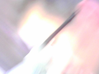 PICA0379