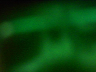 PICA0385