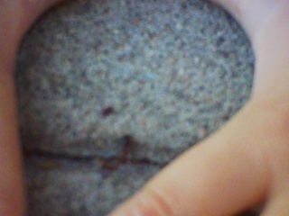 PICA0386