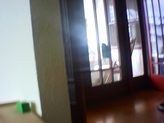PICA0399