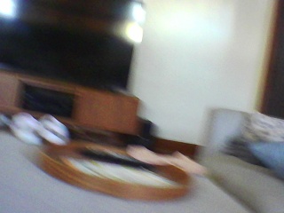 PICA0432