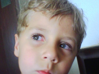 PICA0438