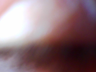 PICA0448
