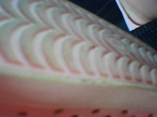 PICA0449