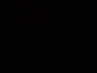PICA0450