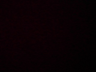 PICA0452