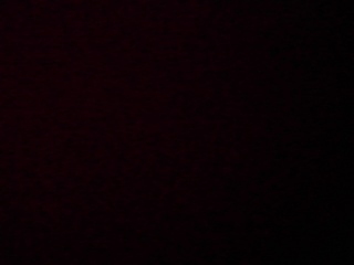 PICA0454