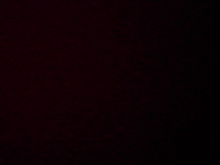 PICA0456