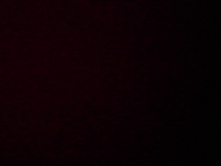 PICA0457