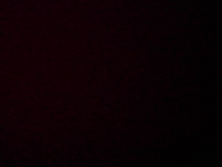 PICA0458