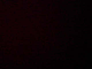PICA0459