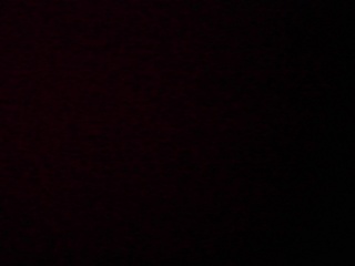 PICA0460