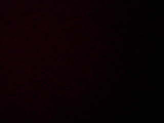PICA0461
