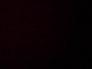 PICA0462