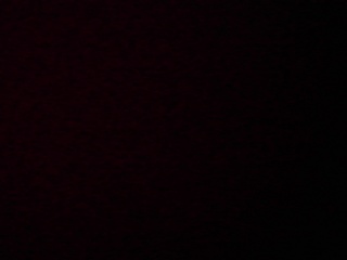 PICA0463