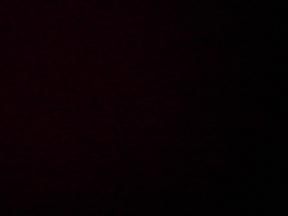 PICA0464