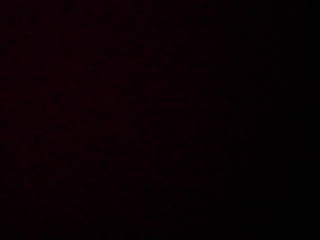 PICA0465