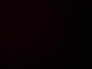 PICA0466