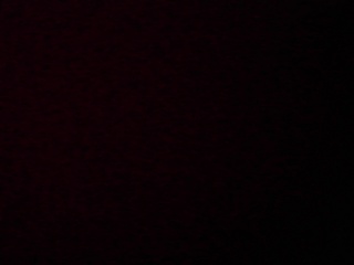 PICA0467