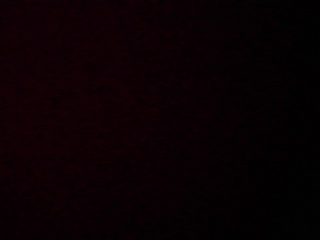 PICA0468